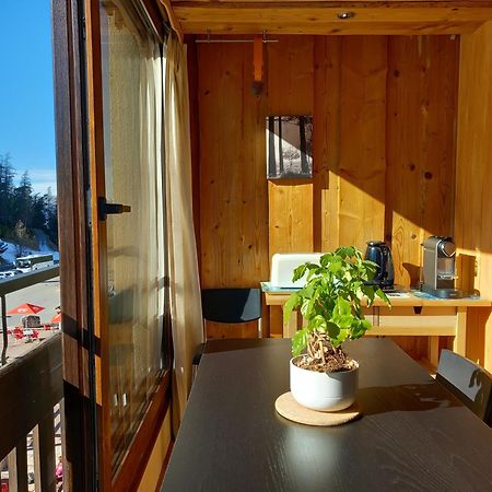 Tres Agreable 2 Pieces Au Pied Des Pistes Apartment Valdeblore Exterior photo